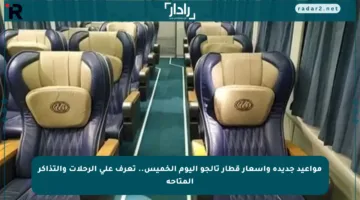 مواعيد جديدة وأسعار قطار تالجو اليوم الخميس.. تعرف على الرحلات والتذاكر المتاحة